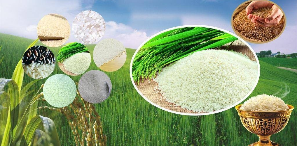 亚硒酸钠产品标准(硒酸钠溶液毒性)-硒宝网