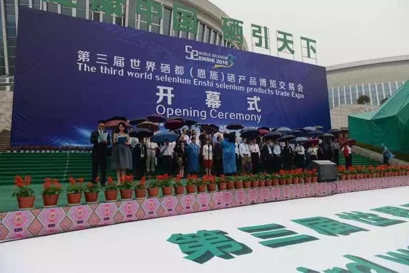 硒产品抗氧化实验(抗氧化试剂盒)-硒宝网