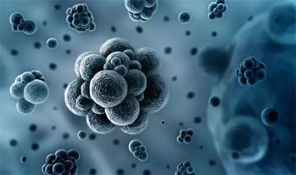 硒产品抗氧化实验(抗氧化试剂)-硒宝网