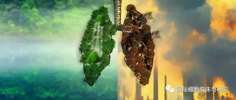 肺癌吃什么硒产品（肺癌吃硒有作用吗）-硒宝网