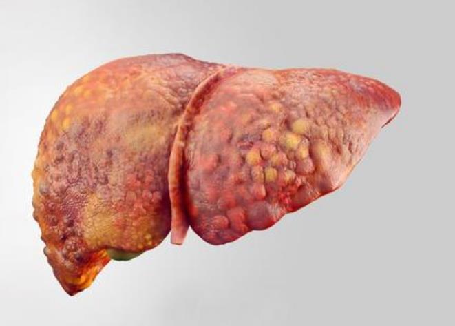 麦芽硒产品有哪些（麦芽硒是保健品吗）-硒宝网