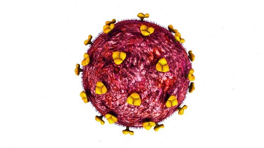 麦芽硒产品有哪些（麦芽硒是保健品吗）-硒宝网