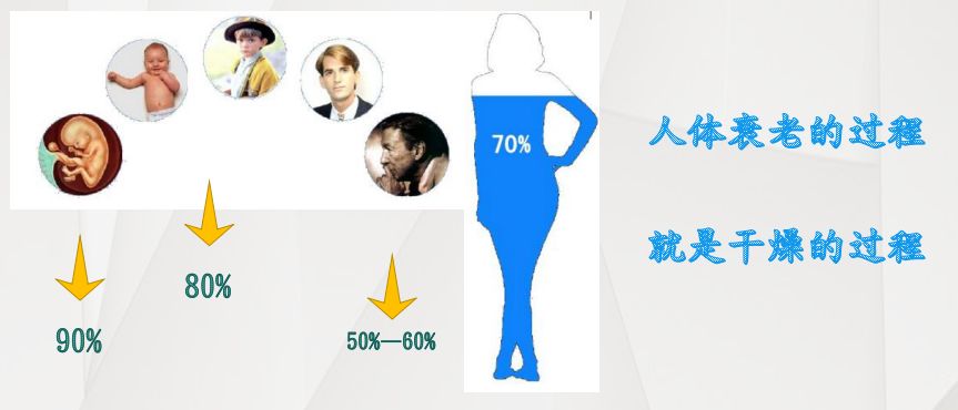 量子硒产品有哪些（量子产品硒有什么作用）-硒宝网