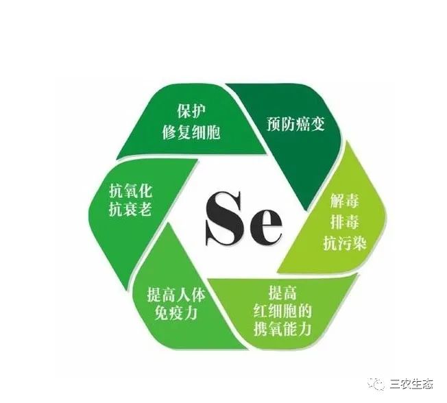 量子硒产品有哪些(量子产品硒有副作用吗)-硒宝网