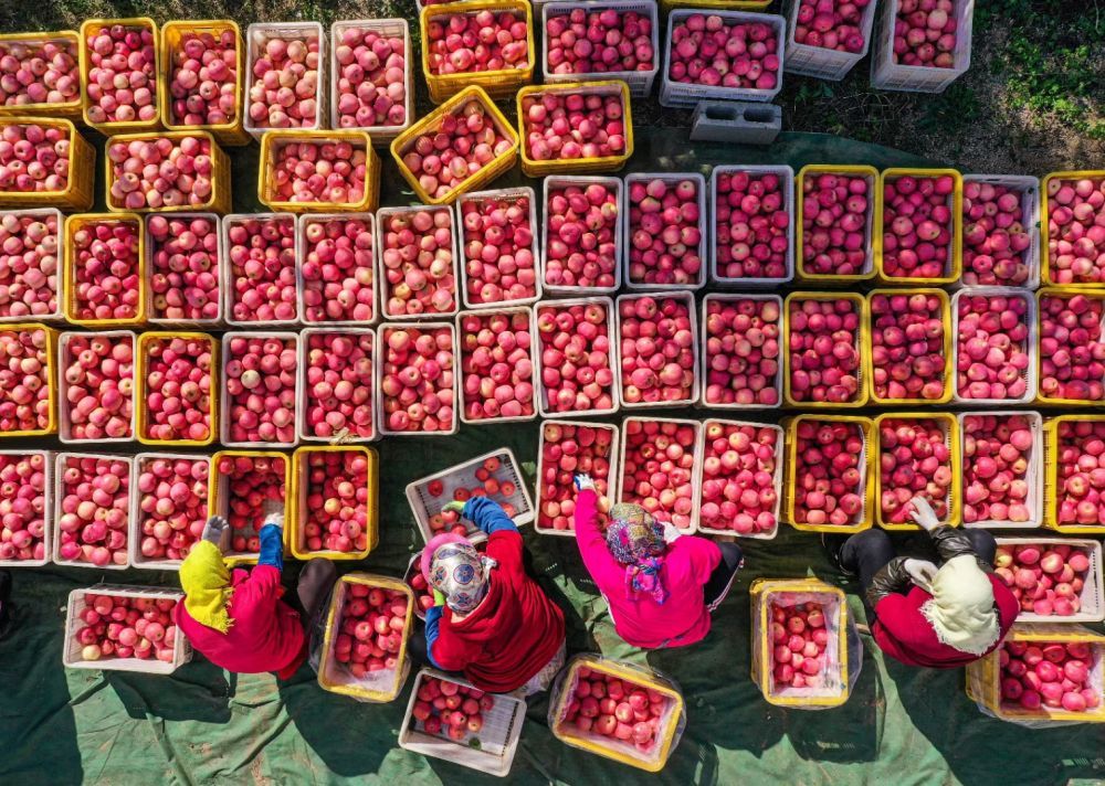 上海富硒产品投资(富硒品牌馆)-硒宝网