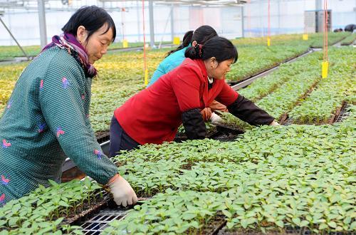 上海富硒产品投资(富硒品牌馆)-硒宝网