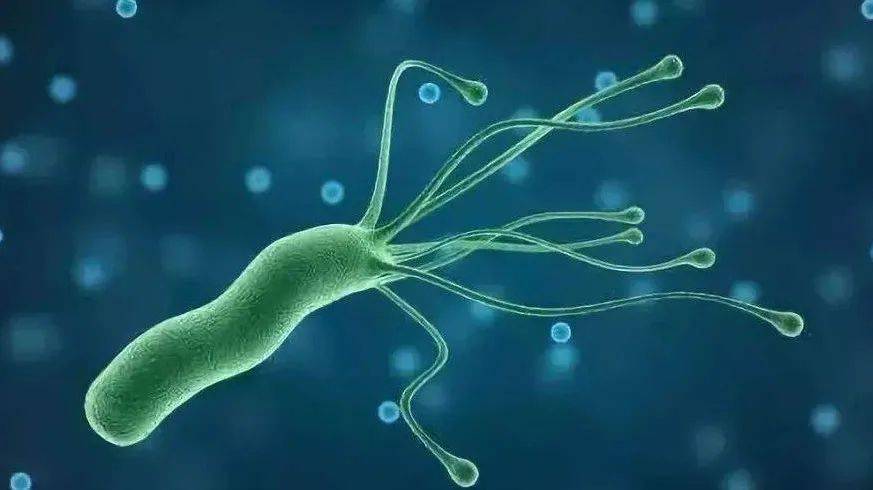 抽多动症是缺微量元素吗(微量元素缺乏症)-硒宝网