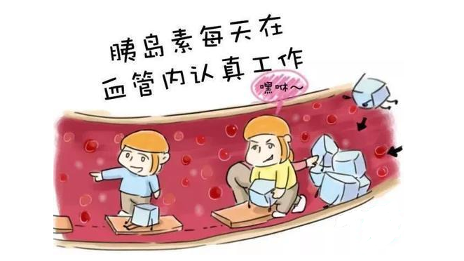 硒产品能降血糖吗(血糖能降产品硒含量吗)-硒宝网