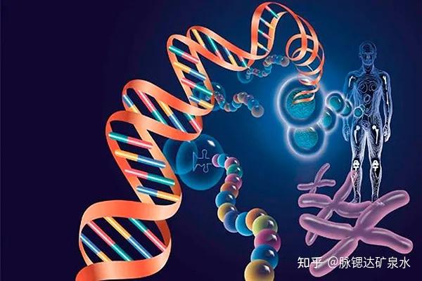 微量元素怎么补(微量元素补充剂有哪些)-硒宝网