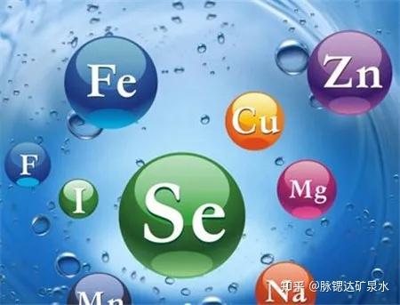 微量元素怎么补(微量元素补充剂有哪些)-硒宝网