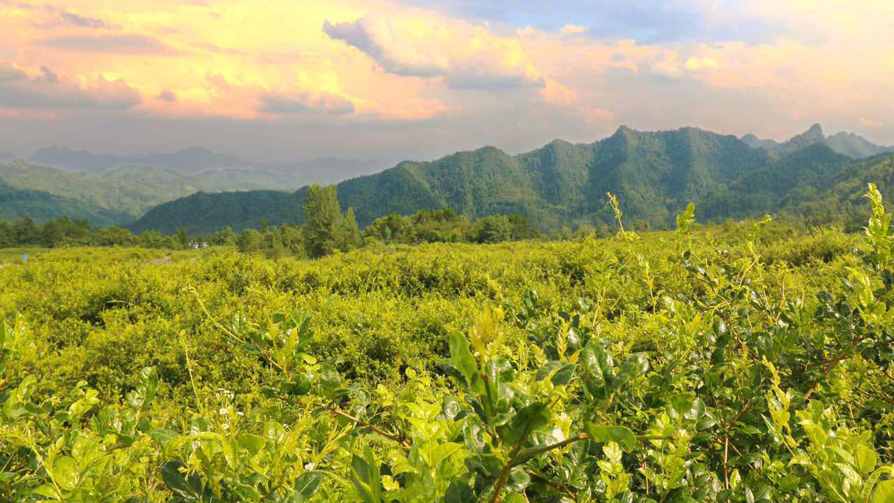 华美达硒产品公司(华美达集团)-硒宝网