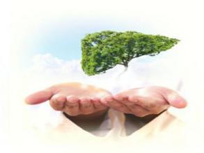 硒产品能降血糖吗（血糖高能吃硒酵母片吗）-硒宝网