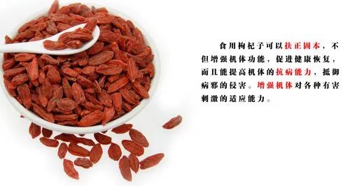 富含硒的植物产品（富含植物产品硒的作用）-硒宝网