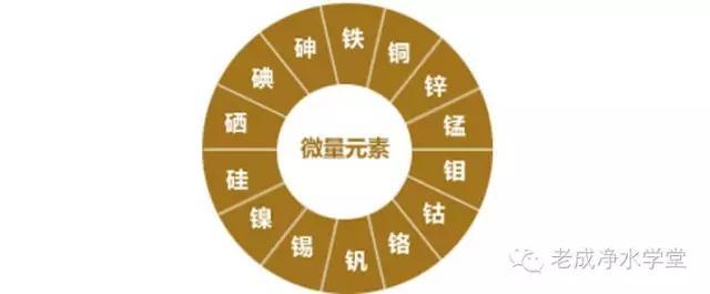 含有硒的产品有哪(富含硒的产品)-硒宝网