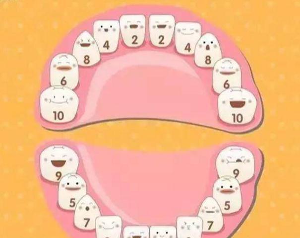 补钙的(补钙吃什么钙片最好)-硒宝网