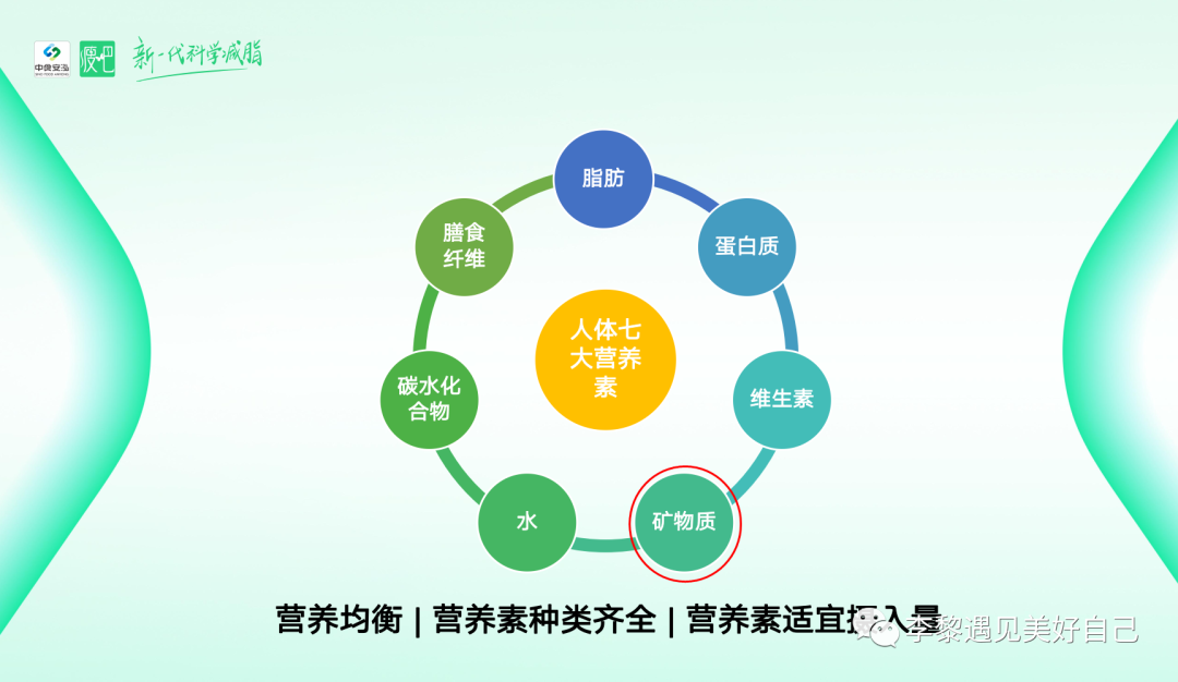微量元素铁(微量铁元素对人的好处)-硒宝网