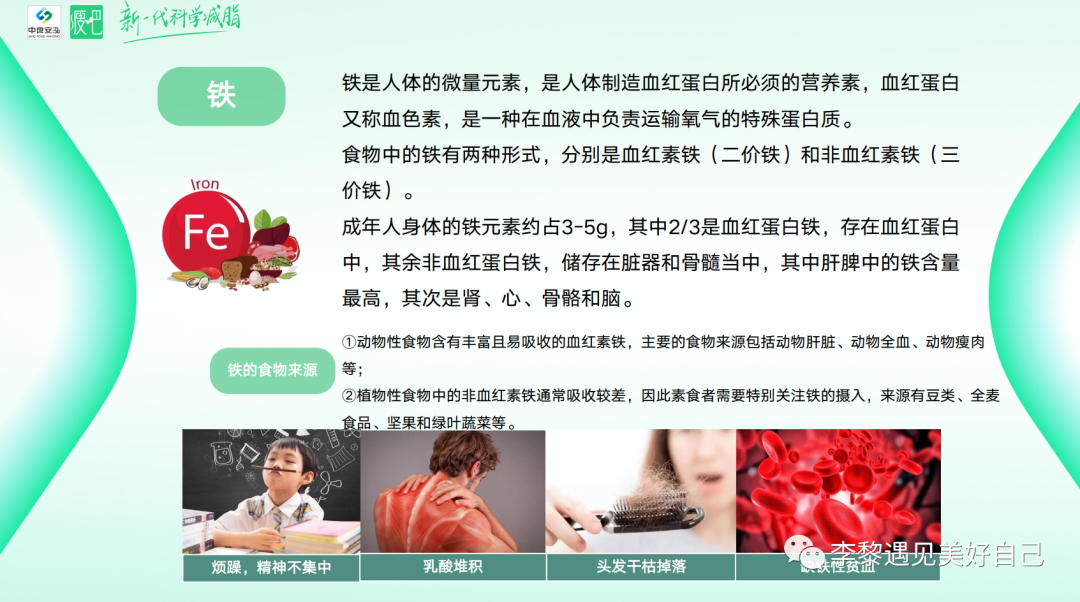 微量元素铁(微量铁元素对人的好处)-硒宝网