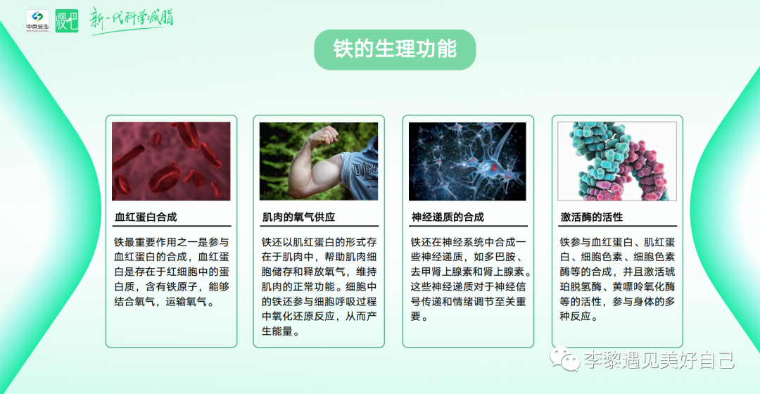 微量元素铁(微量铁元素对人的好处)-硒宝网
