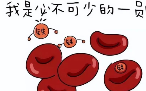 微量元素铁(微量铁元素偏低的危害)-硒宝网