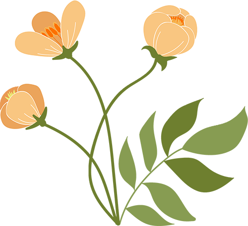 微量元素铁(微量铁元素偏低的危害)-硒宝网