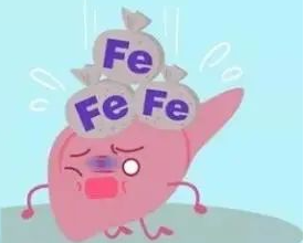 微量元素铁(微量铁元素偏低的危害)-硒宝网