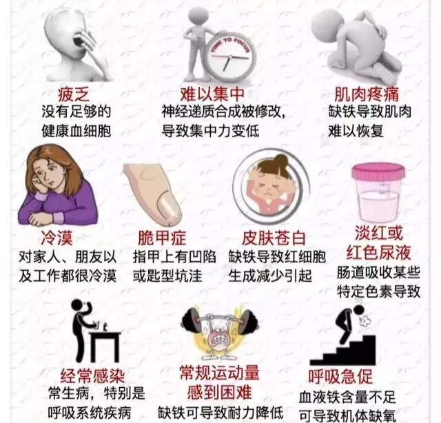 微量元素铁(微量铁元素偏低的危害)-硒宝网