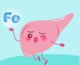微量元素铁(微量铁元素偏低的危害)-硒宝网