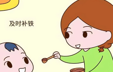 微量元素铁(微量铁元素偏低的危害)-硒宝网