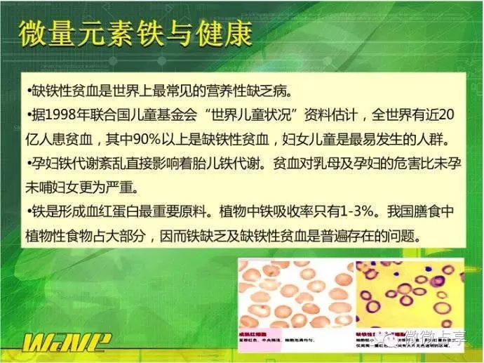 微量元素铁（微量铁元素含量的测定）-硒宝网