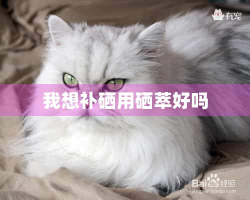 华硒产品可以吃吗（硒可以随便吃吗）-硒宝网