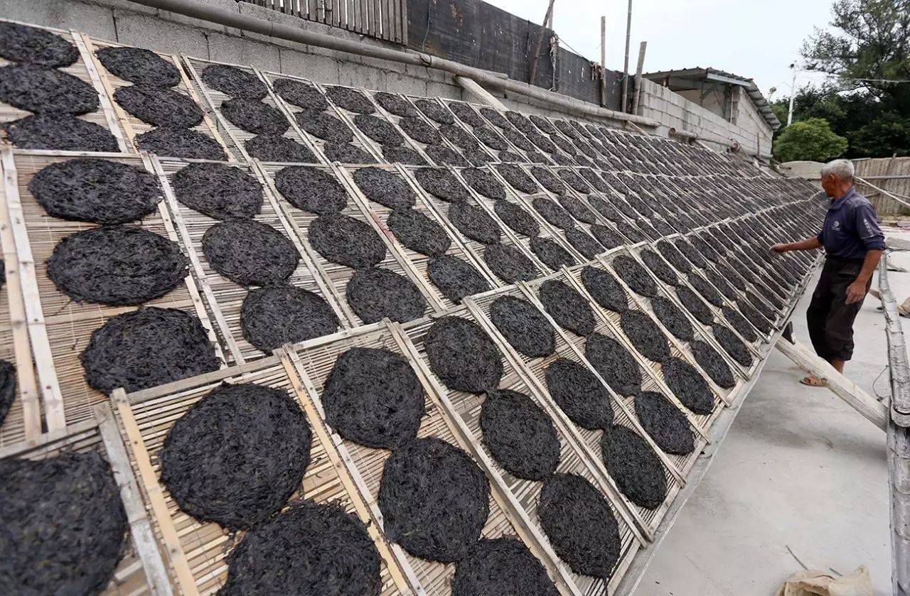 哪一种钙片补钙效果好（钙片选哪种好）-硒宝网