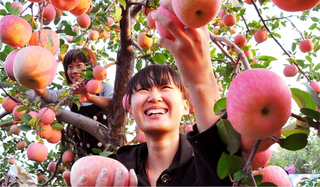 硒农产品推荐理由(富硒农产品广告语)-硒宝网