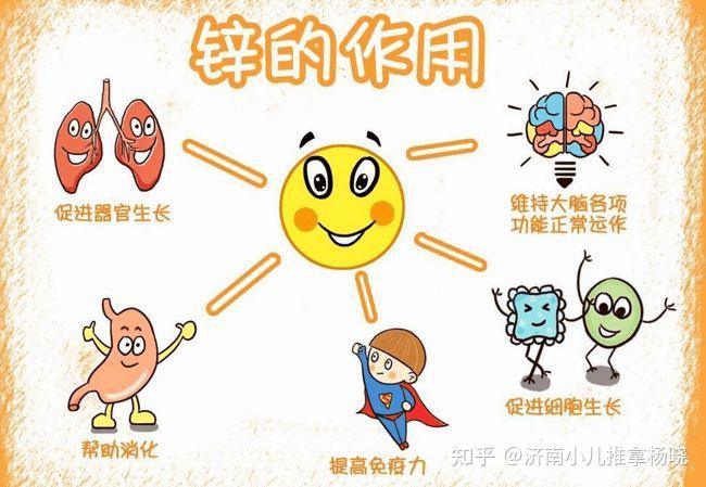 微量元素锌偏高是什么原因(原因锌偏高微量元素是缺锌吗)-硒宝网