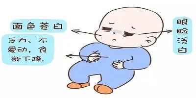 微量元素铁(微量铁元素的测定)-硒宝网