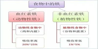 微量元素铁(微量铁元素的测定)-硒宝网