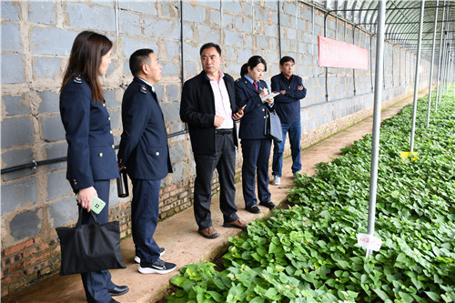 硒农产品怎么种植（种植含硒的农作物）-硒宝网