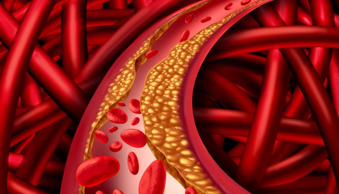 微量元素锌偏高是什么原因（微量元素锌高了）-硒宝网