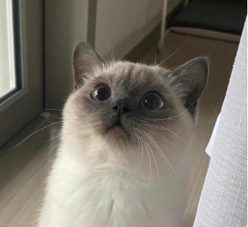 补钙怎么补效果好（补钙补哪种好）-硒宝网