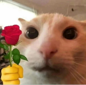 补钙怎么补效果好（补钙补哪种好）-硒宝网