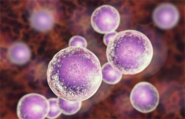 硒产品到底是什么(硒是什么成分)-硒宝网