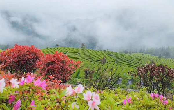 恩施硒农产品加盟（恩施生产硒的厂家）-硒宝网