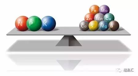 缺微量元素应该怎么补（缺微量补元素应该吃什么）-硒宝网