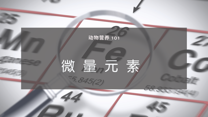 钙是微量元素吗(钙微量元素)-硒宝网