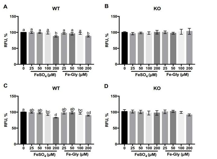 钙是微量元素吗(钙微量元素)-硒宝网