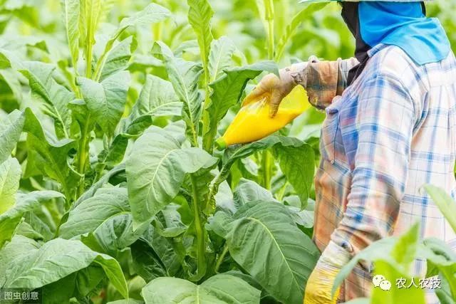 钙是微量元素吗(钙微量元素的作用)-硒宝网