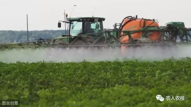 钙是微量元素吗(钙微量元素的作用)-硒宝网