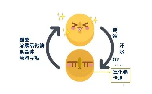 人体必需的微量元素有哪些(必需人体微量元素有几种)-硒宝网