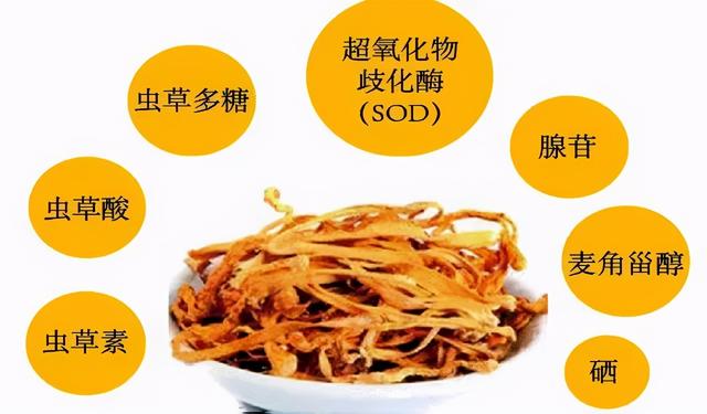 肽和硒是什么产品（硒肽的价格）-硒宝网