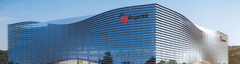 安琪酵母的硒产品(酵母安琪产品硒含量多少)-硒宝网