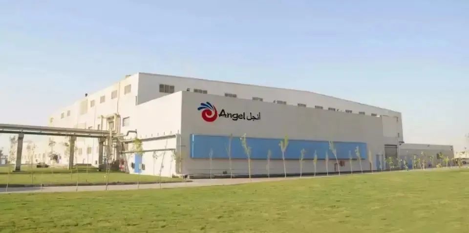 安琪酵母的硒产品(酵母安琪产品硒含量多少)-硒宝网